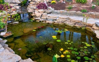 Backyard stone pond with waterfall and lily pads