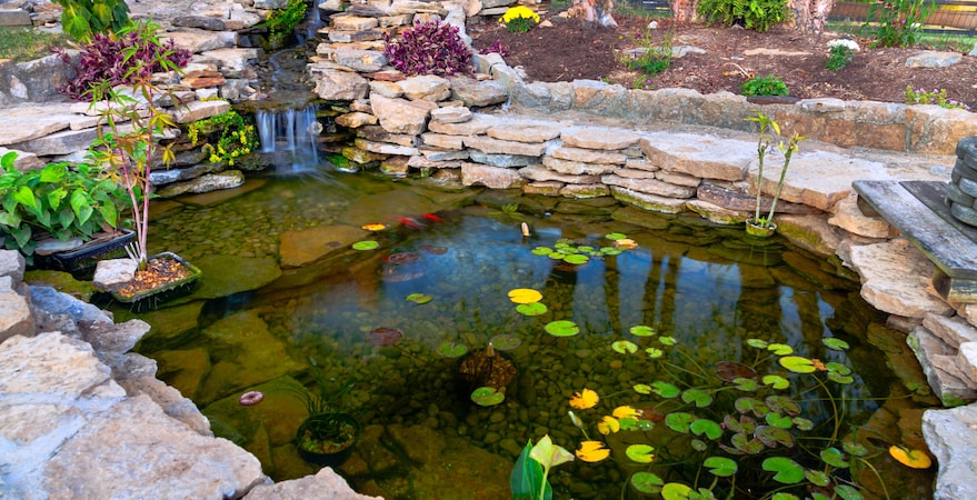 Backyard stone pond with waterfall and lily pads
