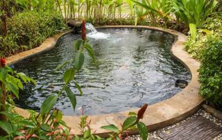 How to Choose the Right Denver Pond Builder