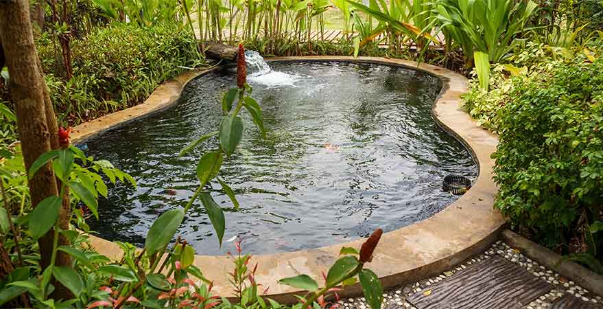 How to Choose the Right Denver Pond Builder