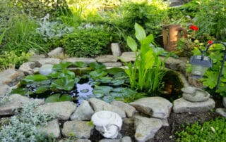 Ready for a Small Outdoor Pond? BR&D Landscape Inc. designs serene garden ponds with lush plants, decor, and solar lighting for your backyard.